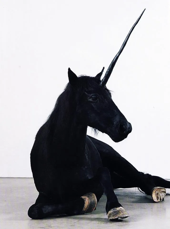 Anna Tutu - Long Black