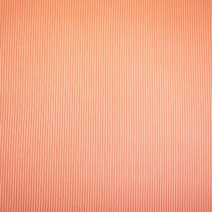 Orange Nylon Stretch Spandex 2x2 Rib Knit Fabric